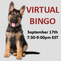 Virtual Bingo September 17th Image