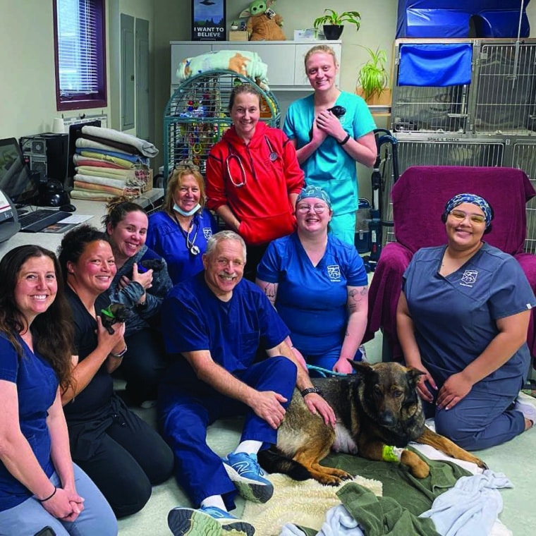 Dr. Arnold Goldman sitting on floor with VetMed staff sitting around him.