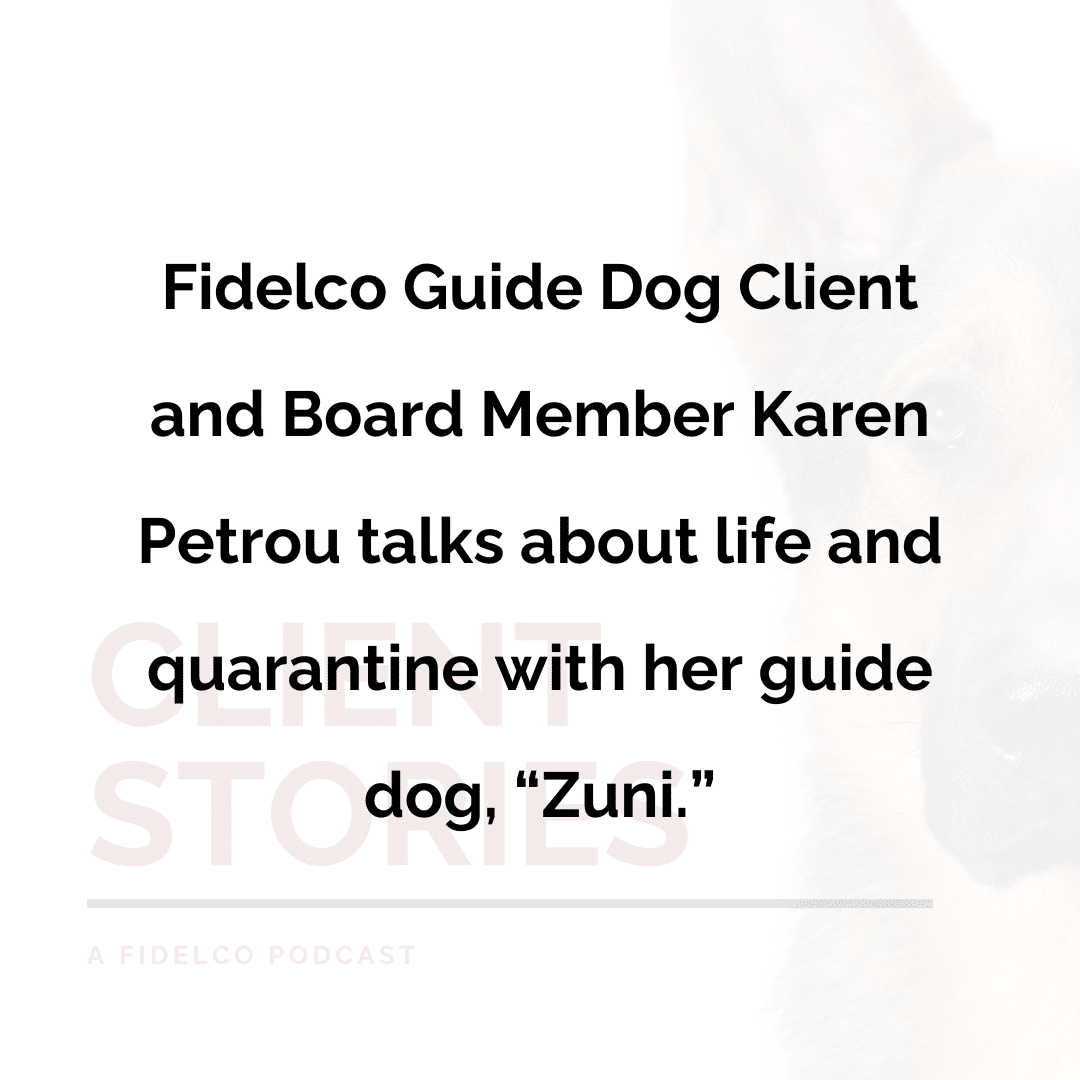 Fidelco guide dog client and board member karen petrou talks about life and quarantine with her guide dog Zuni