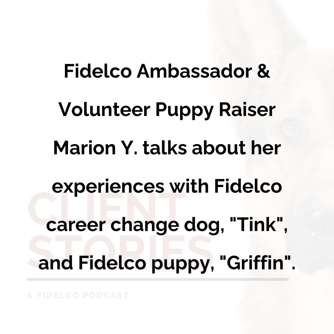 Fidelco ambassador and volunteer puppy raiser marion y talks about her experience with fidelco career change dog tink, and fidelco puppy griffin