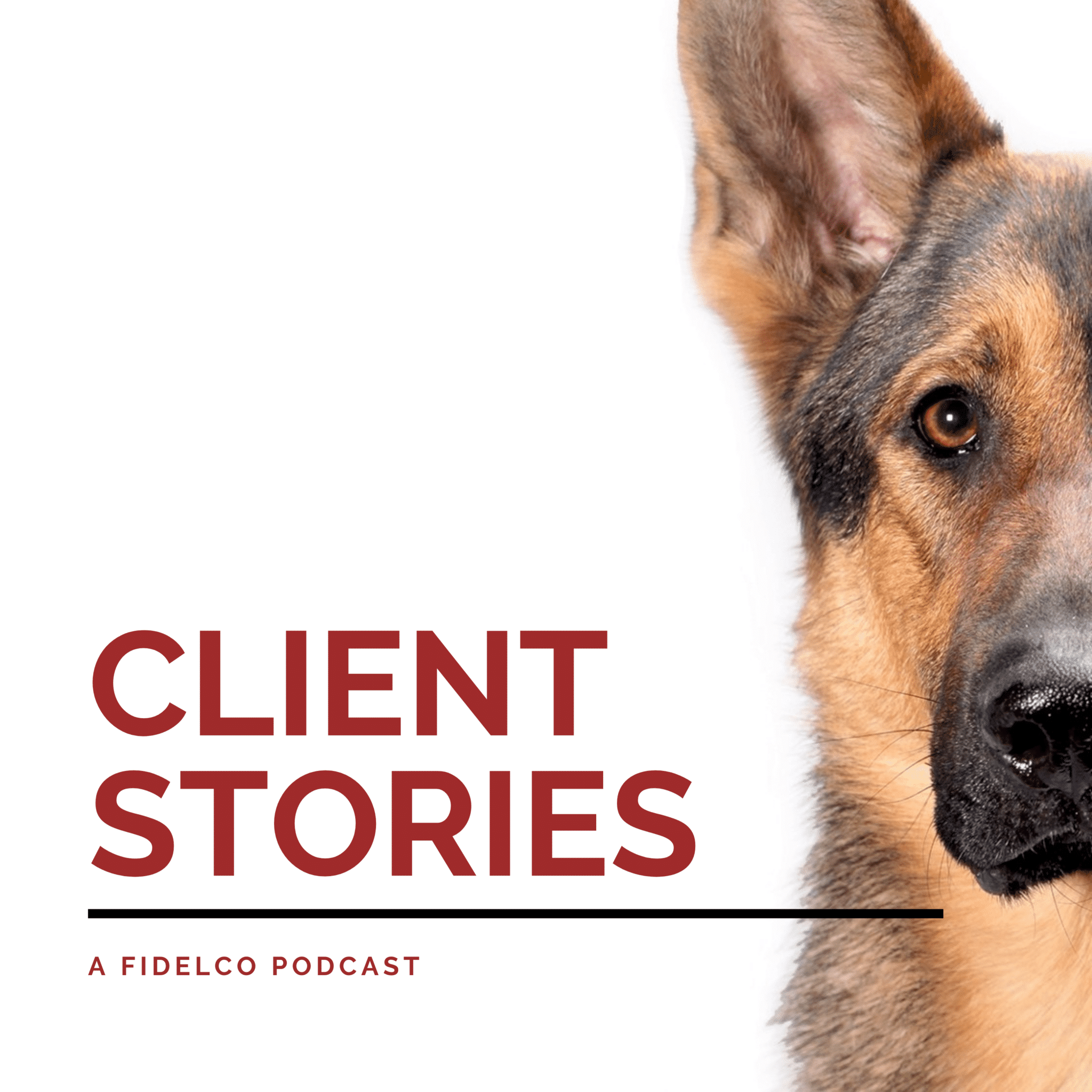 Client Stories Podcast Image