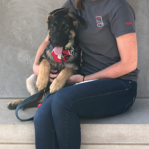 Marion and young Fidelco pup "Griffin" sitting on concrete bench; Marion ankles crossed holding Griffin up in sitting position.